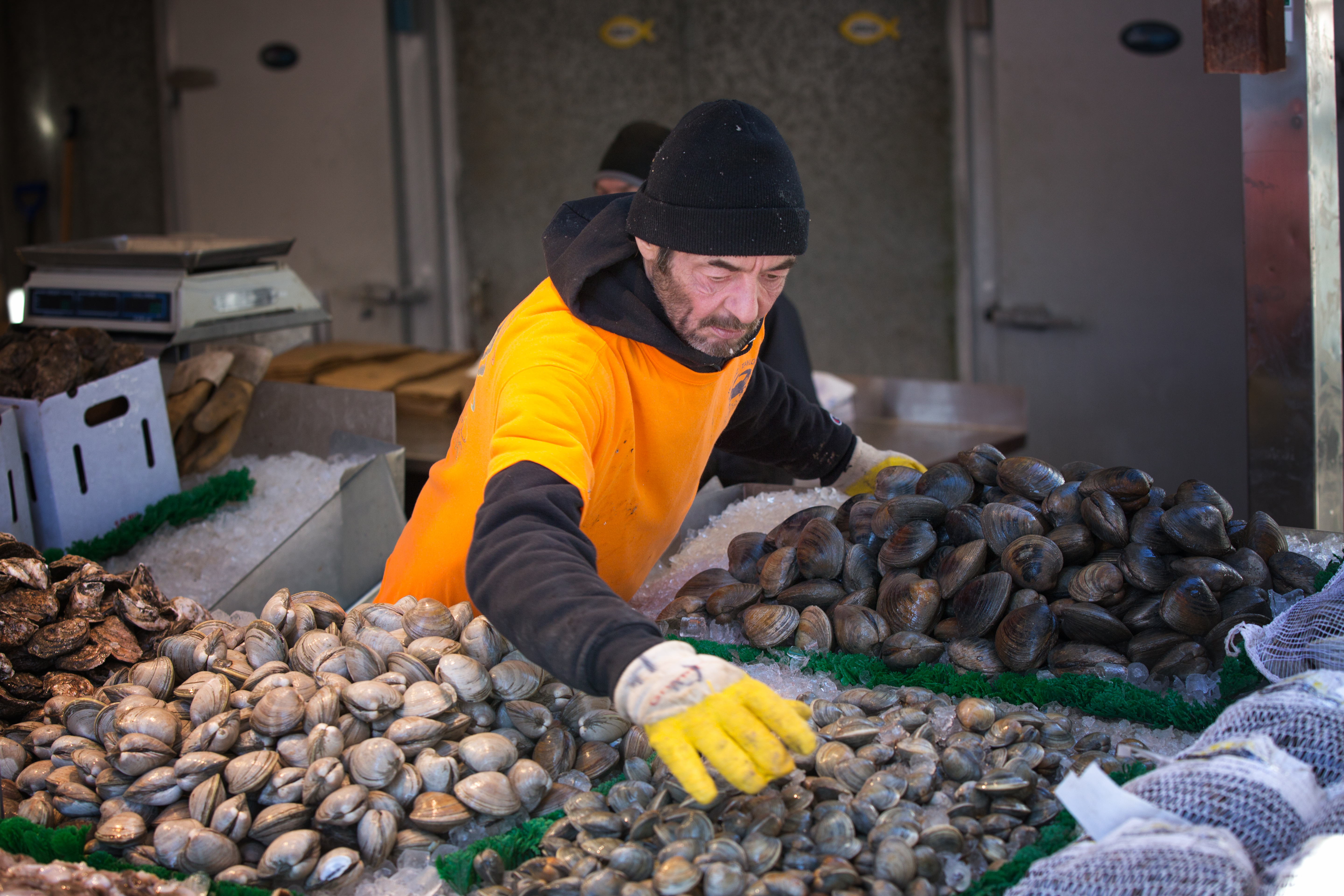 Fishmonger in Washington, DC